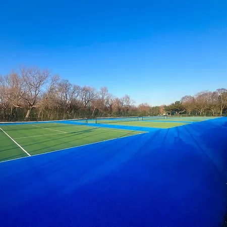 Celebration By The Sea