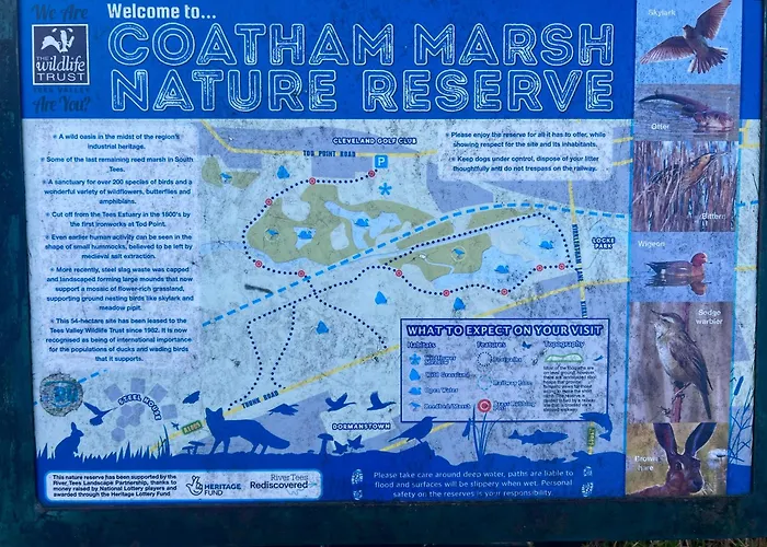 Celebration By The Sea * Redcar