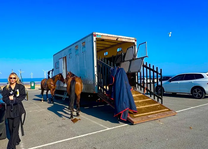 Celebration By The Sea Appartement