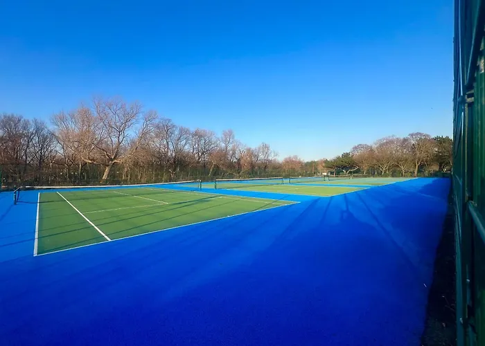 Celebration By The Sea