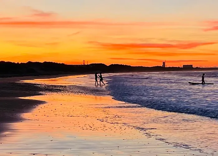 Celebration By The Sea *