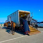 Celebration By The Sea Apartment